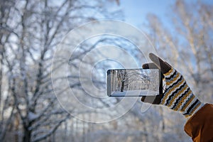 Hand in wool glove holding smartphone and takes pictures of beautiful winter landscape in snow-covered forest. Focus on smartphone