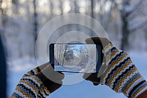 Hand in wool glove holding smartphone and takes pictures of beautiful winter landscape in snow-covered forest. Focus on smartphone