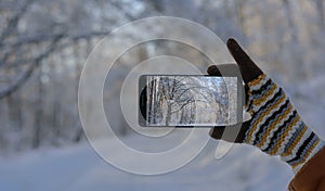 Hand in wool glove holding smartphone and takes pictures of beautiful winter landscape in snow-covered forest. Focus on smartphone