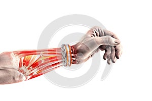 Hand wrist Pain - Studio shot with 3D illustration isolated on white