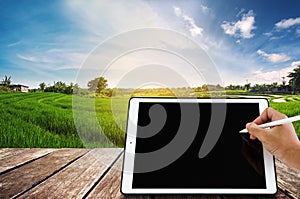 Hand writing on digital tablet with wooden balcony, at green rice field in sunrise