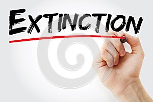 Hand writing Extinction with marker