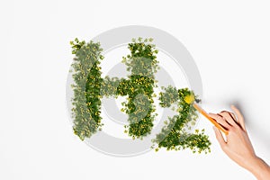 hand writing h2o with grass and a pencil over a white backdrop
