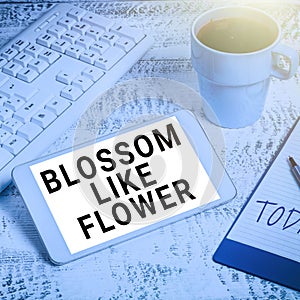 Hand writing sign Blossom Like Flower. Business concept person with good qualities that radiates love, happiness, and