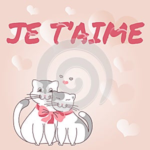 Hand writing sign JE TAIME. Conceptual photo French word expressing love meaning I love you Cats tied together with bow