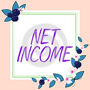 Hand writing sign Net Income. Business overview the gross income remaining after all deductions and exemptions are taken