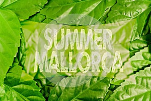 Hand writing sign Summer Mallorca. Concept meaning Spending the holiday season in the Balearic islands of Spain Nature