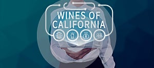 Hand writing sign Wines Of California. Word for Best Winemakers in the USA Export Quality Beverage