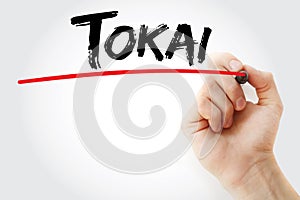 Hand writing Tokai with marker, business concept background