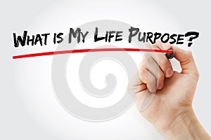Hand writing What is My Life Purpose? with marker, concept background