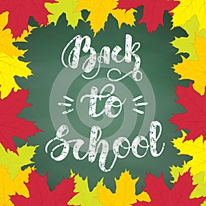 Hand written chalk lettering Back to school on green chalkboard background with maple colorful leaves. Vector
