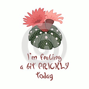 Hand written lettering Message slogan I`m feeling a bit prickly today with blooming cactus image. Pinlk red flower.