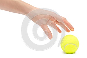 Hand of young girl holding tennis ball.