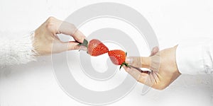 Hand of a young girl and a young guy a couple in love hold a strawberry in the form of a romantic kiss on a white background