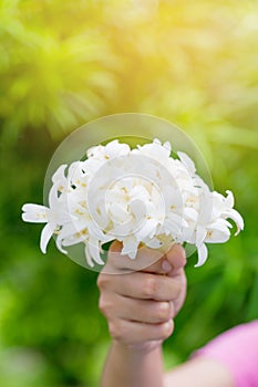 Hand of young holding a bouquet of jasmine with sun light.