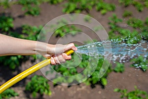 Hand of a young woman holding rubber water hose and using finger close end of rubber water hose to make water spray with