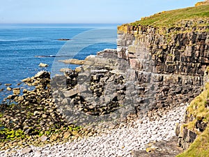 Handa island in Scotland