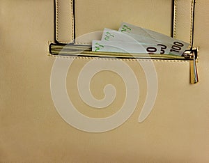 Handbag with money
