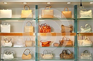 Handbags in the shop