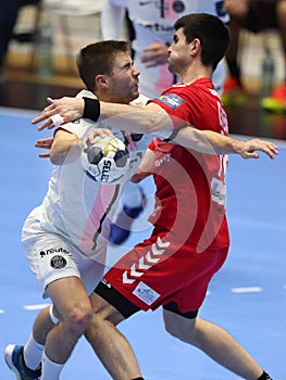 Handball player, Luc Steins