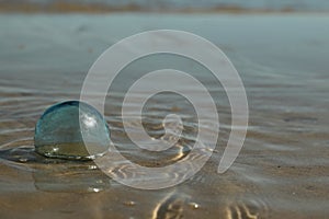 Handblown Glass Float Washed in the Surf