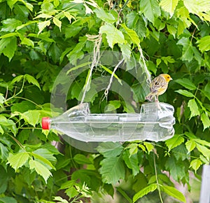 handcrafted bird feeders and waterers made with recycled plastic bottles