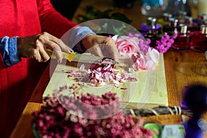 Handcrafted manufacture of perfume and essences with flowers