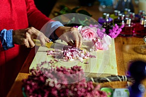 Handcrafted manufacture of perfume and essences with flowers