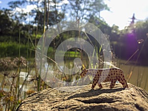 Handcrafted wooden animal figurines photographed in natural environments 2