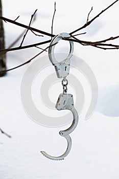 Handcuffs hang on a branch in winter on a background of snow with human traces, a concept on the theme of escape