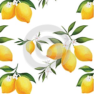 Handdrawing Seamless Watercolor Lemon Pattern photo