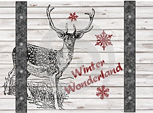 Handdrawing Winter Wonderland Christmas Reindeer photo
