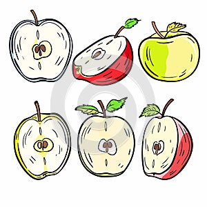 Handdrawn apples cut half showcase seeds varying colors. Cartoony style depicts red, yellow, green photo