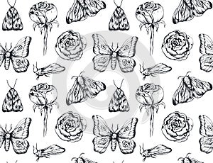 Handdrawn butterfly seamless pattern with flowers