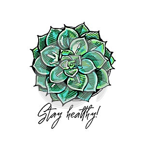 Handdrawn colored greeting card with flatlay succulent and text