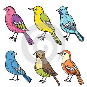 Handdrawn colorful birds, six different species, unique patterns feathers. Cartoon style birds