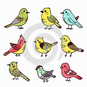 Handdrawn colorful collection birds, cartoon style, isolated white. Set features various small