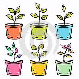 Handdrawn colorful plant pots, containing growing plant, against isolated white background photo