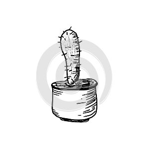 Handdrawn doodle cactus icon. Hand drawn black cactus sketch. Si