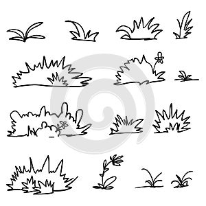 Handdrawn grass fresh spring plants, different herbs and bushes in doodle cartoon style vector