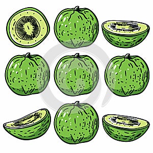Handdrawn green kiwifruit sketches, split halved slice crosssection seed texture. Fresh juicy kiwi photo