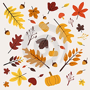 Handdrawn illustration autumn leaves pattern with colorful