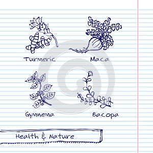 Handdrawn Illustration - Health and Nature Set