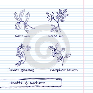 Handdrawn Illustration - Health and Nature Set