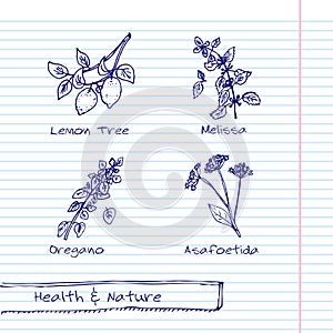 Handdrawn Illustration - Health and Nature Set