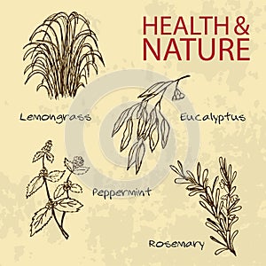 Handdrawn Illustration - Health and Nature Set