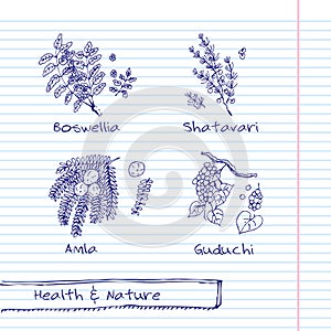 Handdrawn Illustration - Health and Nature Set