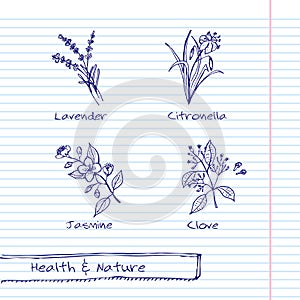 Handdrawn Illustration - Health and Nature Set