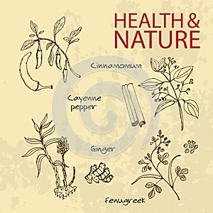 Handdrawn Illustration - Health and Nature Set