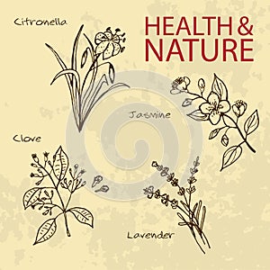 Handdrawn Illustration - Health and Nature Set